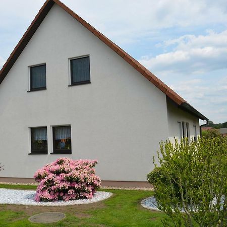 Ferienwohnung Starke Gablenz Ngoại thất bức ảnh