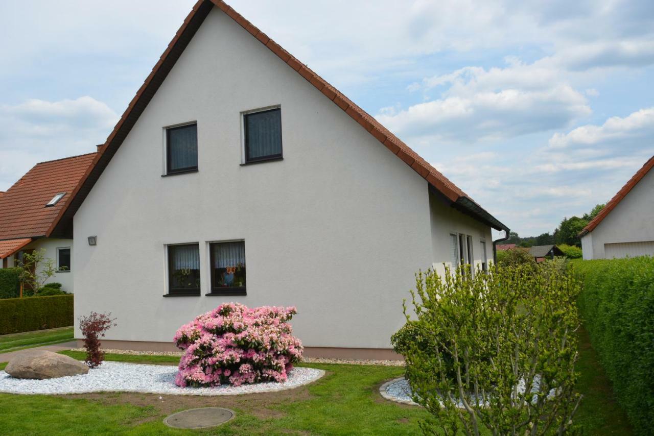 Ferienwohnung Starke Gablenz Ngoại thất bức ảnh